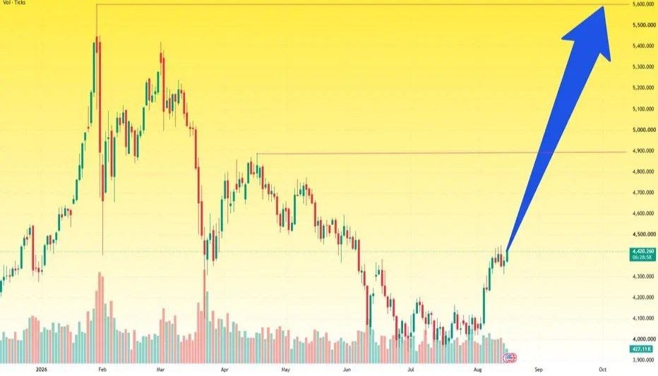Gold rebounded to 5,600, reaching a high of 6,000
